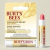 Anjumain Burt's Bees Advanced Drill Lip Balm Unscented × 4.25g × 1 / 버츠비 어드밴스드릴리프 립밤 언센티드 × 4.25g × 1개