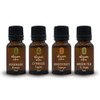 OLEUM VITAE Kit Mezclas de Aceites Esenciales Vitalidad. 100% Puros