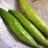 Straightup Nature Fresh Buag Ngu Seeds | 10 Seeds |