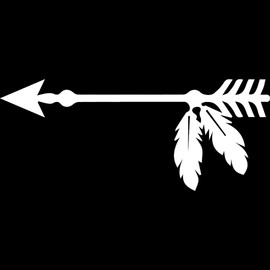 Transparent Decal Stickers Of Arrow And Feathers (White) Premium Waterproof Vinyl Decal Stickers For Laptop Phone Accessory Helmet Car Window Mug Tuber Cup Door Wall Decorati USCstic727111WHW19052522
