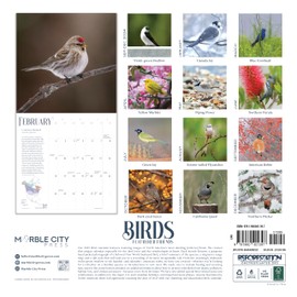 Bird Wall Calendar 2025 | 12” x 24” Birds: Feathered Friends 12 Month | Marble City Press | Backyard Ornithologist Garden Songbird | Bird Migration Map Educational QR Codes | 2024-2025 Calendar