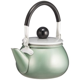 Maekawa Metal Rainbow Teapot, Green