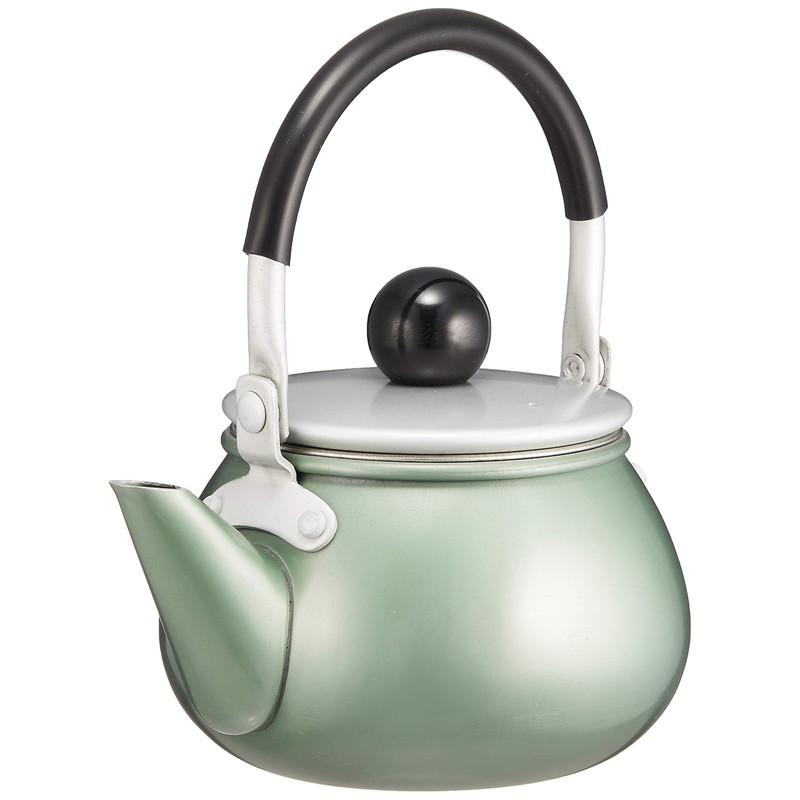 Maekawa Metal Rainbow Teapot, Green