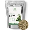 Elanen Naturals Organic Plantain Leaf 4 oz. (113g), USDA Certified