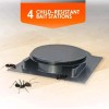 HOMEPLUS Ant Killer - 4 Child-Resistan