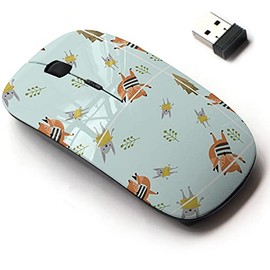 CJCBROES 2.4G Wireless Mouse with Cute Pattern Design for All Laptops and Desktops with Nano Receiver - Fox Rabbit
