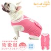 FREBLE GIRLS POSULATING CLOTHE ELIZABETH WEAR (R) 6/PINK FM