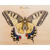 BSM E72511470 Wooden Butterfly Puzzle