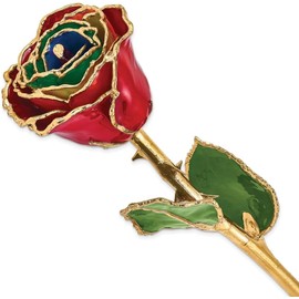 Allmygold 24K Gold Plated Rose Gypsy Rainbow Gold 11"