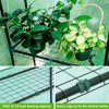 Ohuhu Greenhouse for Outdoors with Screen Windows, 57 x 57