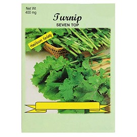 Set of 50 Vegetable 7 Top Turnip Seed Packs - 100% GMO Free - Heirloom - Black Duck Brand (50, Turnip- 7 Top)