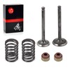 Intake Exhaust Valve Seal Spring Kit For Club Car Golf