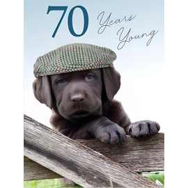 Noel Tatt - 70th Male Birthday Card - 70 Years Young Puppy Wearing Flat Cap - For Him green, black, white, grey, 172 x 125 mm