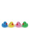 Rex London Erasers (Set of 4) - Ducks