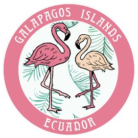 Blue Heron Two Flamingos Galapagos Islands Ecuador Car Truck Window Bumper Sticker Decal - Pink