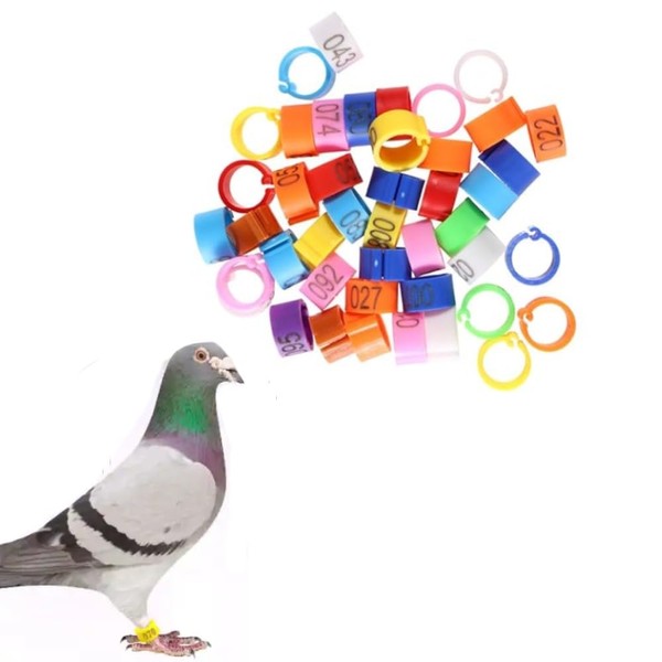 Lovgrin Pigeon Foot Rings，Colorful Readable Numbered Bird Identification Leg Bands