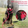 Strong Slip Lead Dog Leash, Heavy Duty Nylon Dog Training
