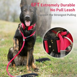 Strong Slip Lead Dog Leash, Heavy Duty Nylon Dog Training Leash, Durable Grey Dog Rope Lead No Pull Walking Leash with Rubber Stopper & Padded Handle for Small Medium Large Puppy Dogs 1.8m Red