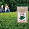 Canada Green Grass Lawn Seed - 4 Pound Bag Grows