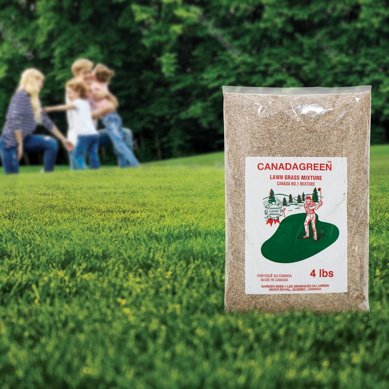 Canada Green Grass Lawn Seed - 4 Pound Bag Grows