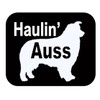 Haulin Auss TP 621 Sticker 6" Decal australian shepherd aussie