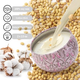 2 Pack Aromatherapy Candles, 2.5 oz Christmas Candle, Soy Scented Candle for Christmas, Thanksgiving Day, Candle Gift Set, Portable Small Jar Candles Set, Home Decor Tin Candle Pack