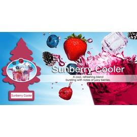 LITTLE TREES Car Air Freshener | Hanging Paper Tree for Home or Car | Sunberry Cooler | 6 Pack