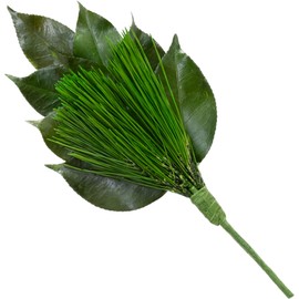 Premium Aragin Pine Preserved Small Size (1 Bundle) (Uses 3 Csubella Leaves and Miyakomatsu Type) Sanho Pine