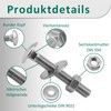 DSM - Carriage Bolts M6 x 80mm DIN 603 -