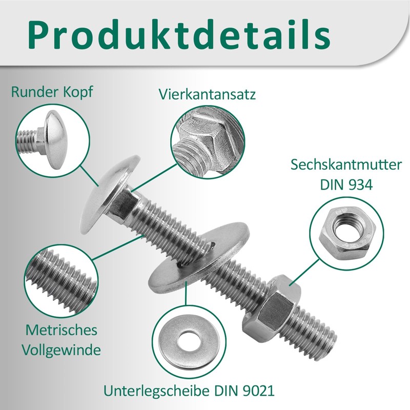 DSM - Carriage Bolts M6 x 80mm DIN 603 -