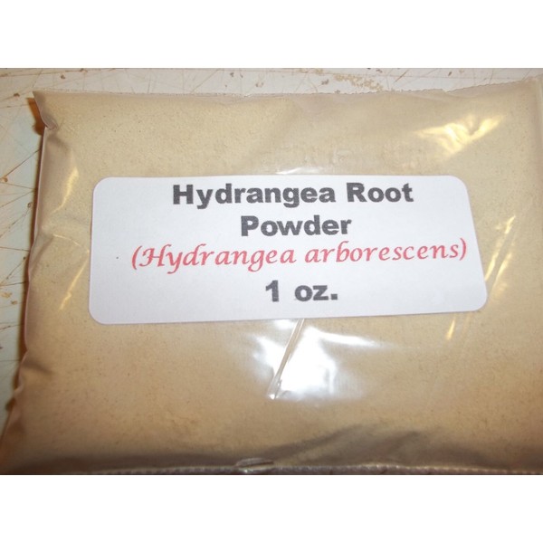 Hydrangea Root 1 oz. Hydrangea Root Powder (Hydrangea arborescens)