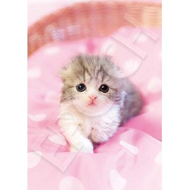 Epoch Company 108 Piece Jigsaw Puzzle Ikimono Pet Cat Hitomi (7.2 x 10.1 inches (18.2 x 25.7 cm) 01-074 EPOCH with Glue Spatula Included Tickets