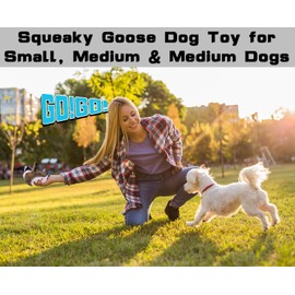 JKW Pet Dog Toys, Plush & Stuffed Goose Toys，Squeaky Puppy Toys (Goose, M)