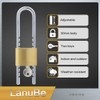 Lanube Solid Brass Cabinet Locks with Keys U Lock with