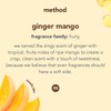 Method Laundry Detergent, Ginger Mango, 53.5 Ounces, 66 Loads, 2