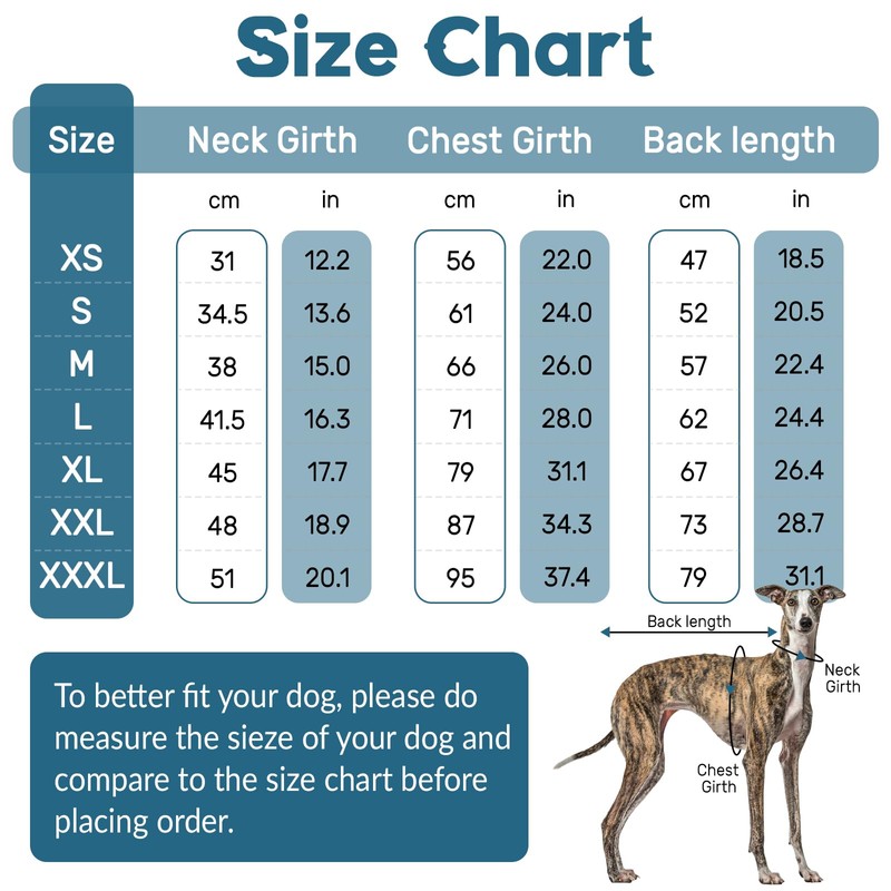Whippet Jumper, Shirt Whippet Turtleneck Pullover, Italian Greyhound Coat, Italian