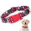 Red Dog Collar with Flower, Pretty Floral Pattern Design Quick