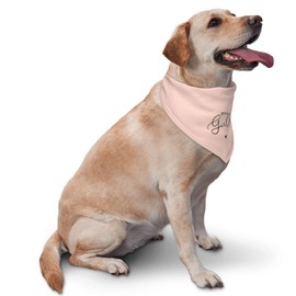 vercosee It's A Boy It's A Girl Gender Reveal/Baby Announcement Dog Bandana,Gender Reveal Dog Bandana,Reversible,Pregnancy Announcement Dog Bandana (Pink/Black)