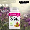 Bioherb Cardo Mariano 100 Puro Extracto Silimarina Estandarizado Alta Pureza