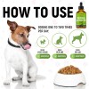 GoldenPaw Dog Antibiotics for Infections, Cough, UTI & Allergy Relief