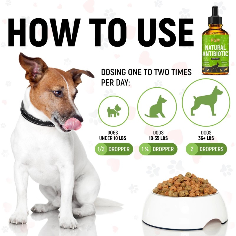 GoldenPaw Dog Antibiotics for Infections, Cough, UTI & Allergy Relief