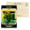Herbs (dill) Seed Packet (4x6 Birch Wood Postcards, 2-Pack Stationary,