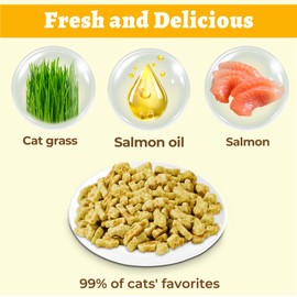 Wellix 16oz/450g Cat Treats for Indoor Cats - Salmon Oil Flavor Cat Biscuits - Healthy Kitten Snacks for Cats Grass & Salmon - Joint Support & Healthy Skin