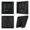 Real Handmade Taxidermy Butterfly Framed Gothic Baroque Art Home Decor
