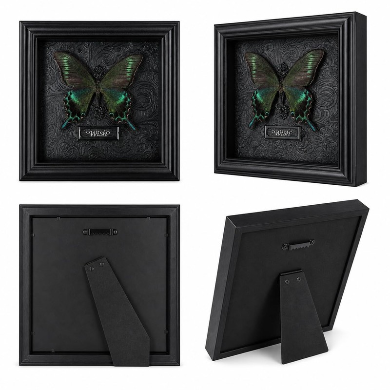 Real Handmade Taxidermy Butterfly Framed Gothic Baroque Art Home Decor