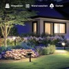 Linkind 60-Led Solar Spotlight for Outdoor Use, Warm White, 800
