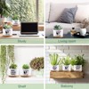 Myakako Succulent Planter Pots Cactus Flower White Ceramic Plant Pot
