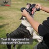 Natural Rubber Dog Toys for Large Aggressive Chewers - Lifetime