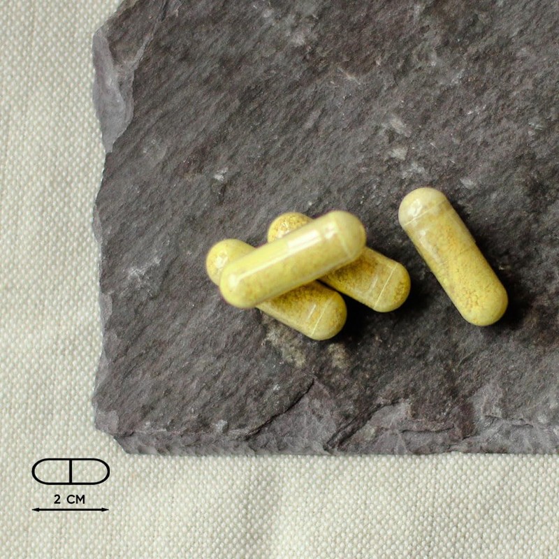 Nutri Advanced - CurcuDyn Forte - Curcumin, Boswellia and Ginger