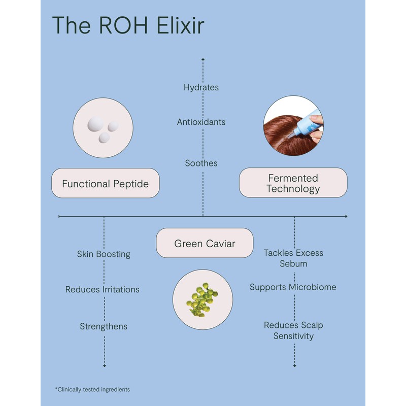 ROH Purify & Plump Condition 350ml